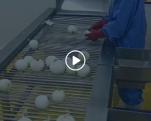 洋蔥去皮生產線