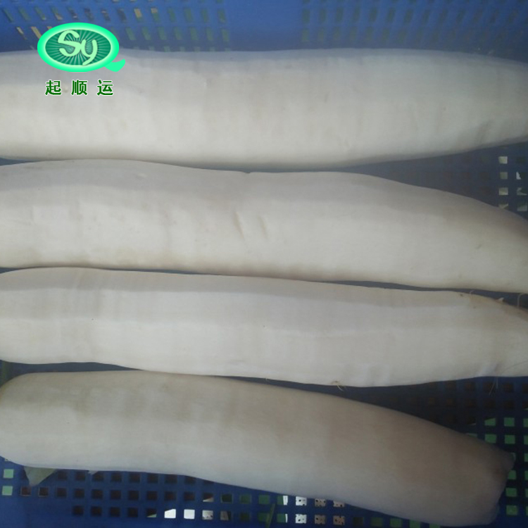 白蘿卜去皮機(jī)